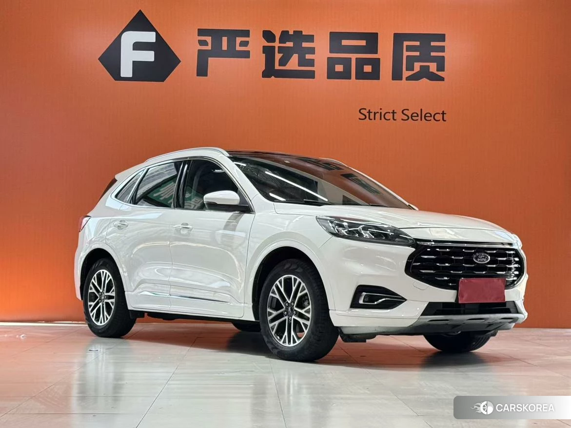 Ford Ruiji 2019 Белый из Китая, фото 4
