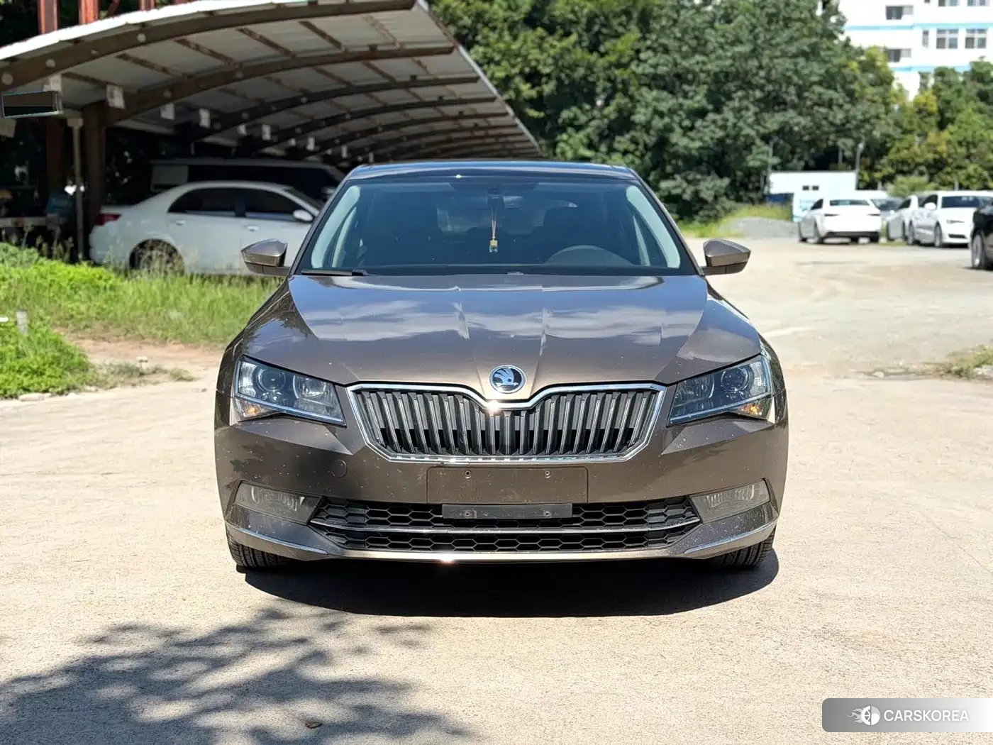 Skoda Speed pie 2018 Champagne/brown из Китая, фото 4