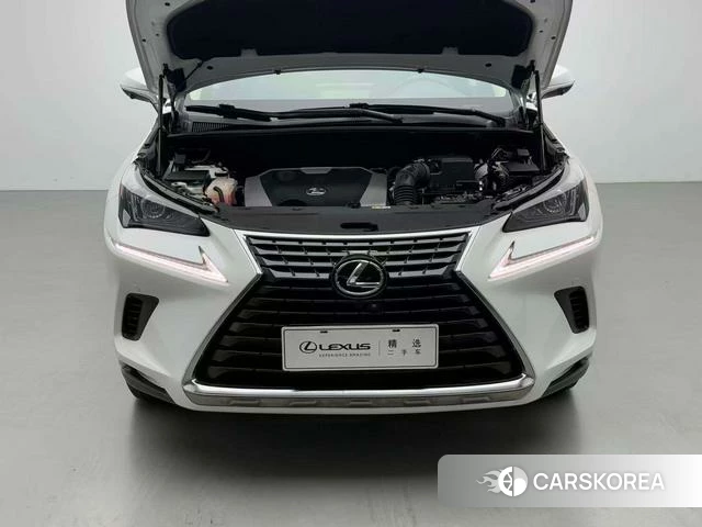 Lexus NX id 4274405 из Китая 11