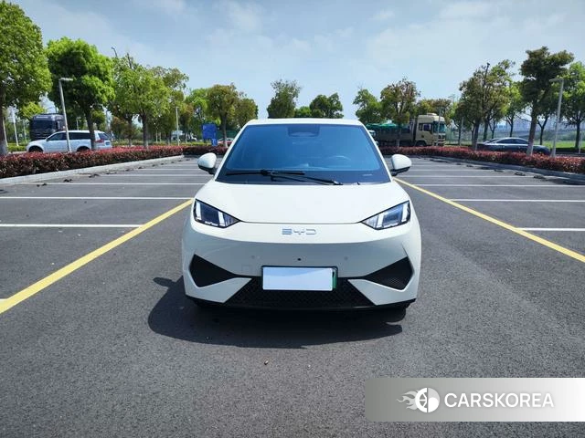 BYD Seagull id 4241617 из Китая 11