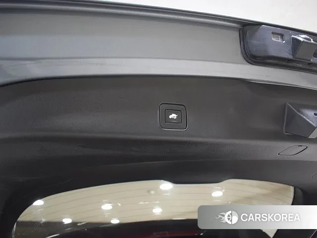 Chevrolet (GM Daewoo) Trailblazer id 3469155 из Кореи 14