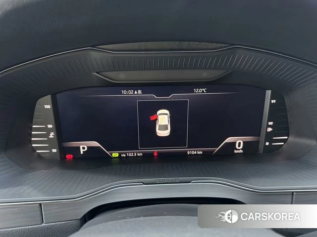 Skoda Speed pie id 4239098 из Китая 21