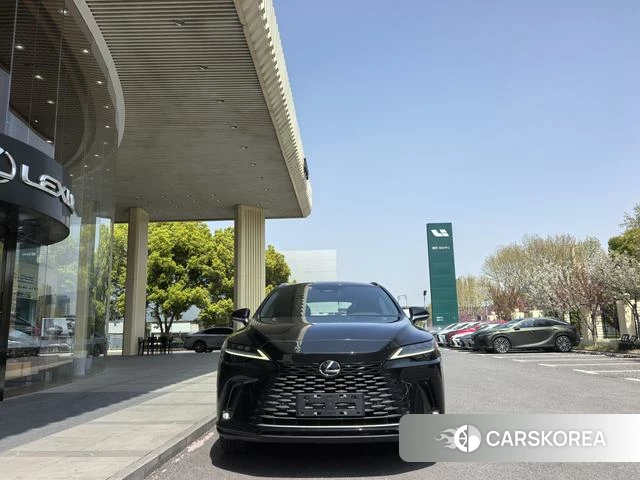 Lexus RX id 4274147 из Китая 11
