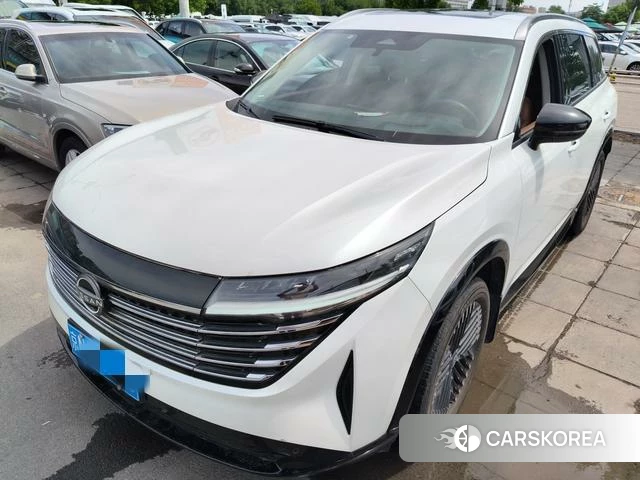 Nissan Exploring the land id 4335934 из Китая 15