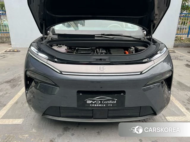 BYD Tang L DM id 4222334 из Китая 13