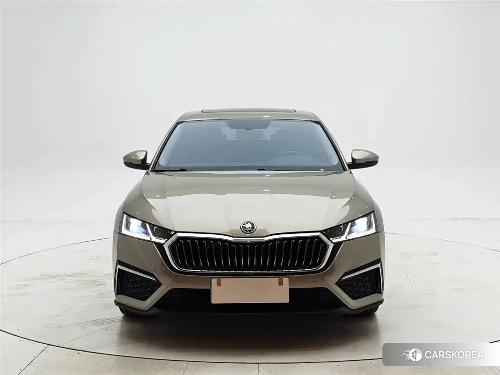 Skoda Octavia id 4679628 из Китая 18