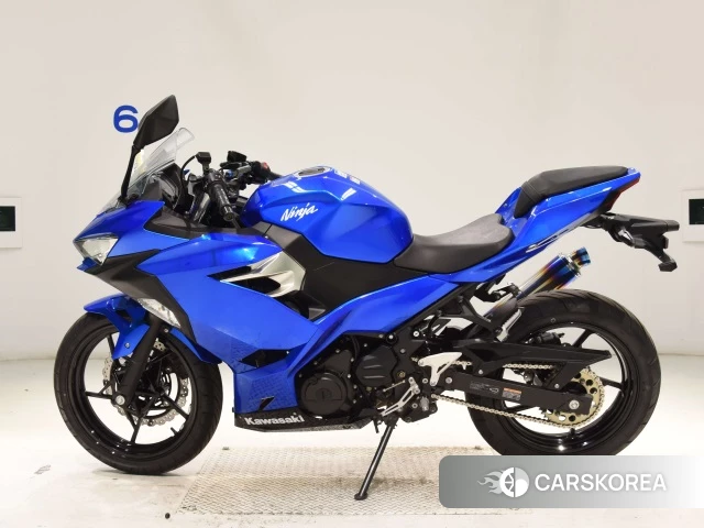 Kawasaki NINJA 250 2018 из Японии
