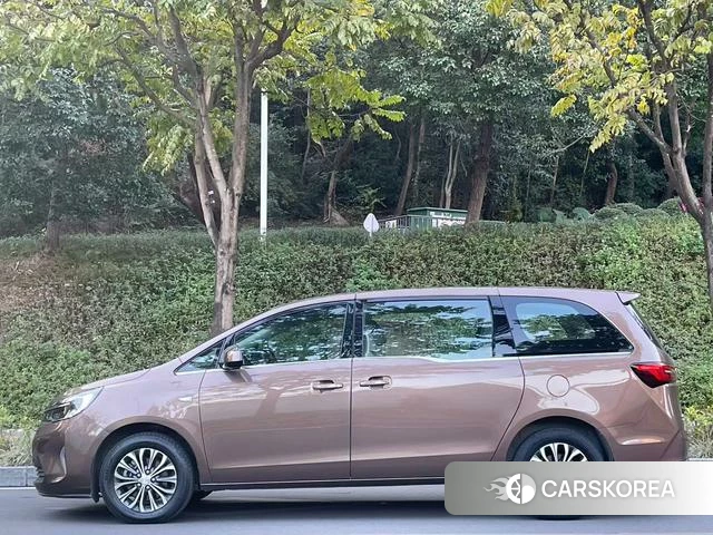 Buick GL8 2020 Коричневый из Китая, фото 4
