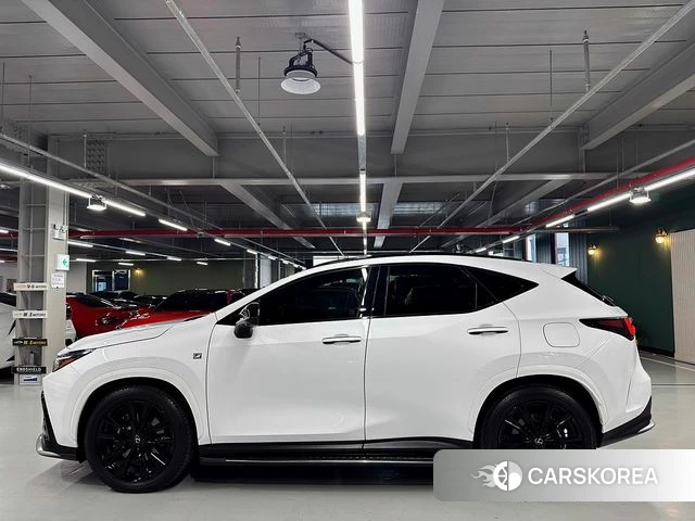 Lexus NX450h + 2nd generation id 4308576 из Кореи 13