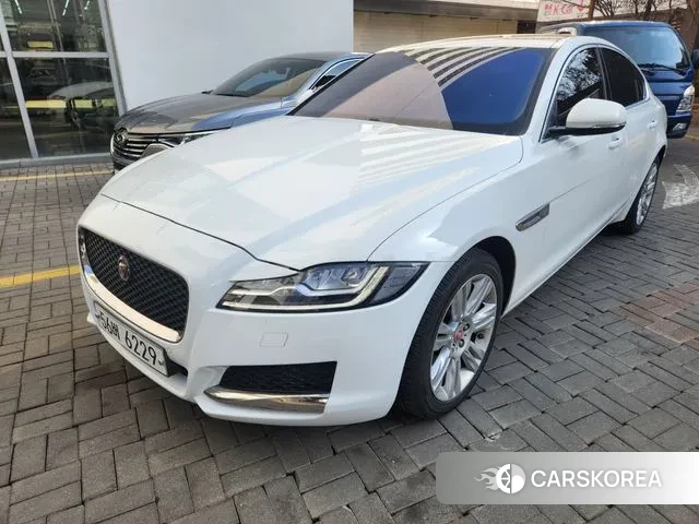 Jaguar XF (X260) 2018 Белый из Кореи, фото 6