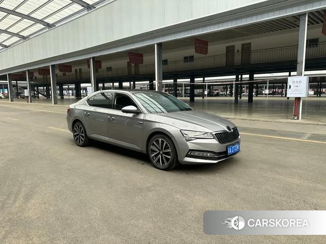 Skoda Speed pie id 4393865 из Китая 9