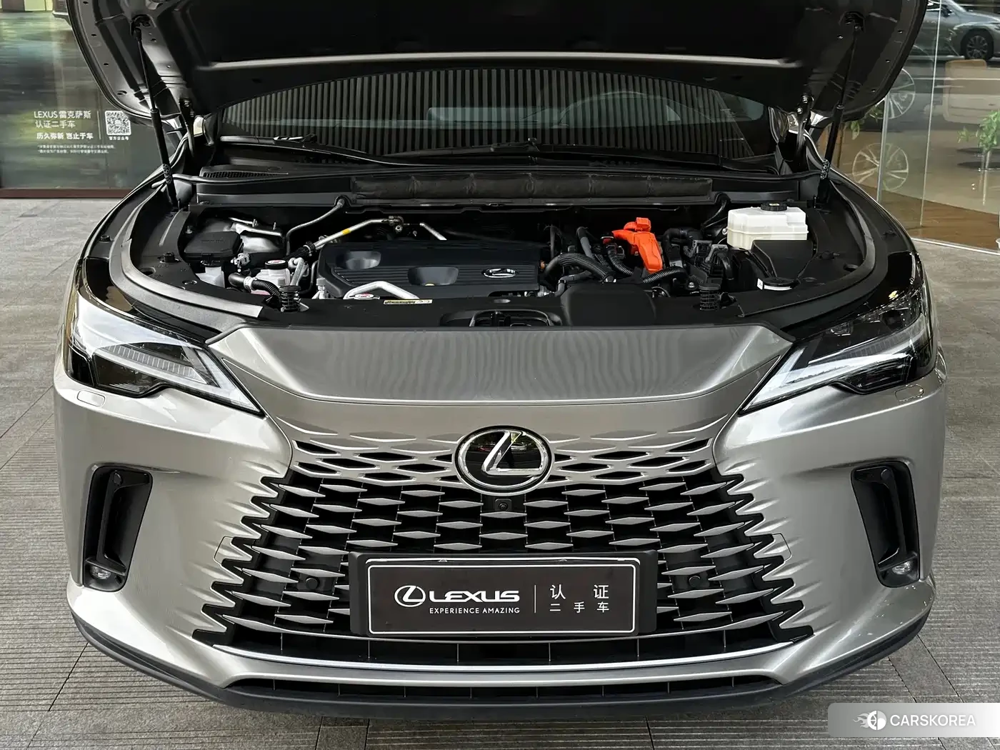 Lexus RX 2023 Silver/gray из Китая, фото 6