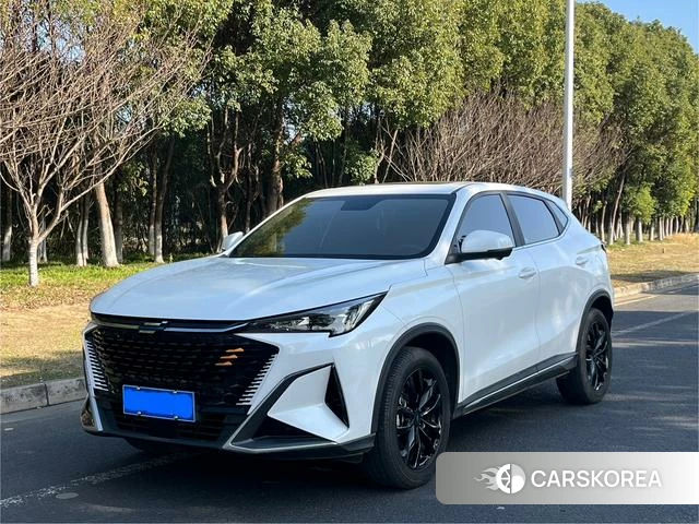 Changan X5 PLUS 2023 Белый из Китая, фото 5