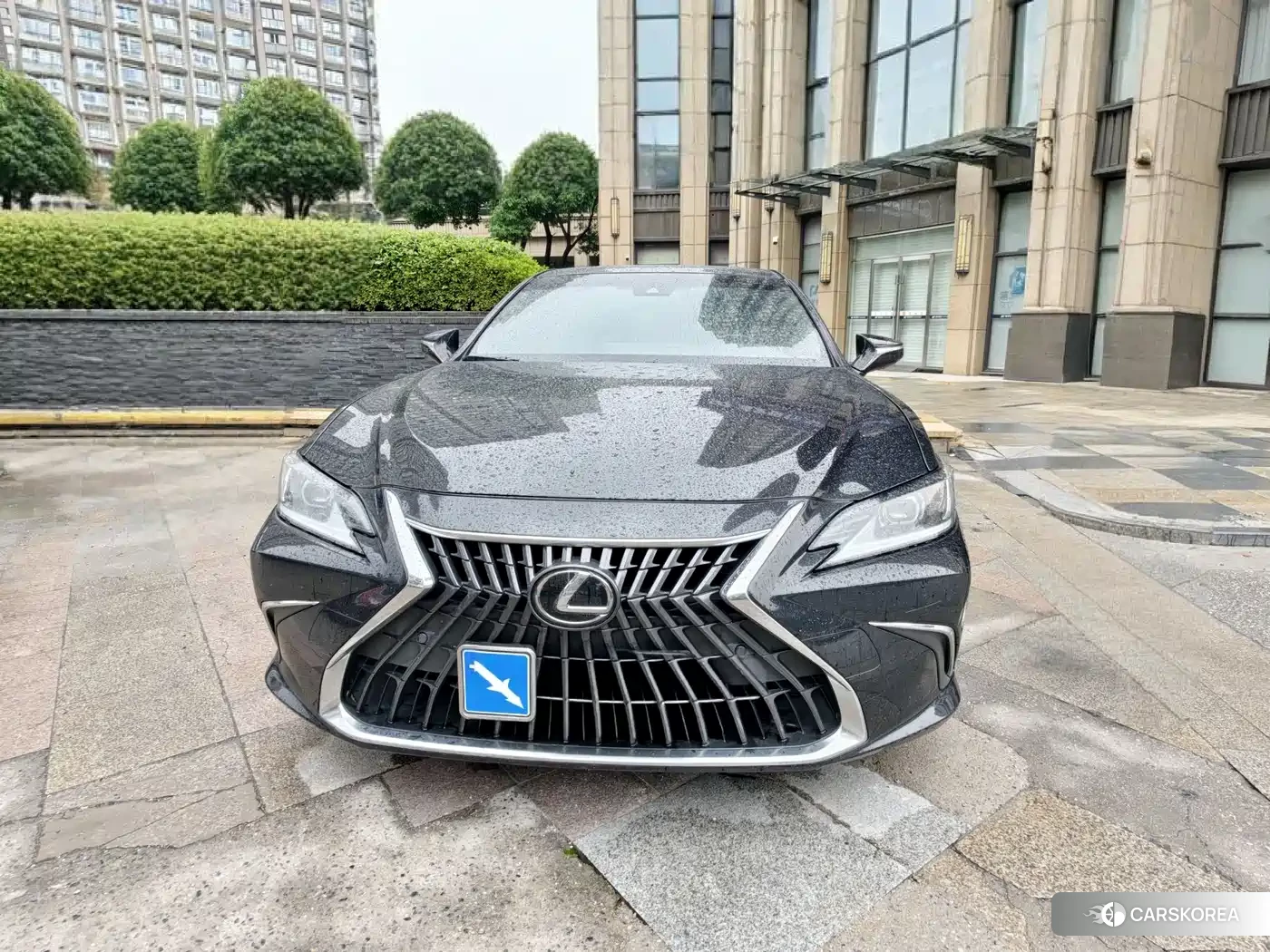 Lexus ES 2023 Silver/gray из Китая, фото 4