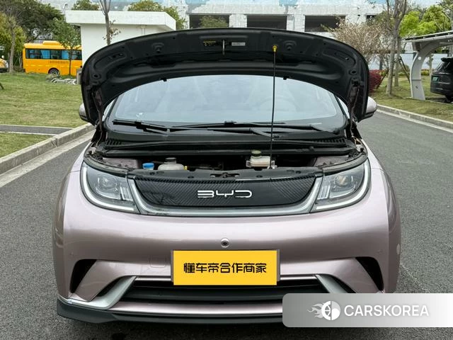 BYD dolphin id 4211195 из Китая 20