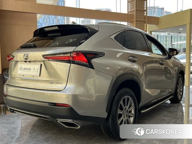 Lexus NX id 4213582 из Китая 11