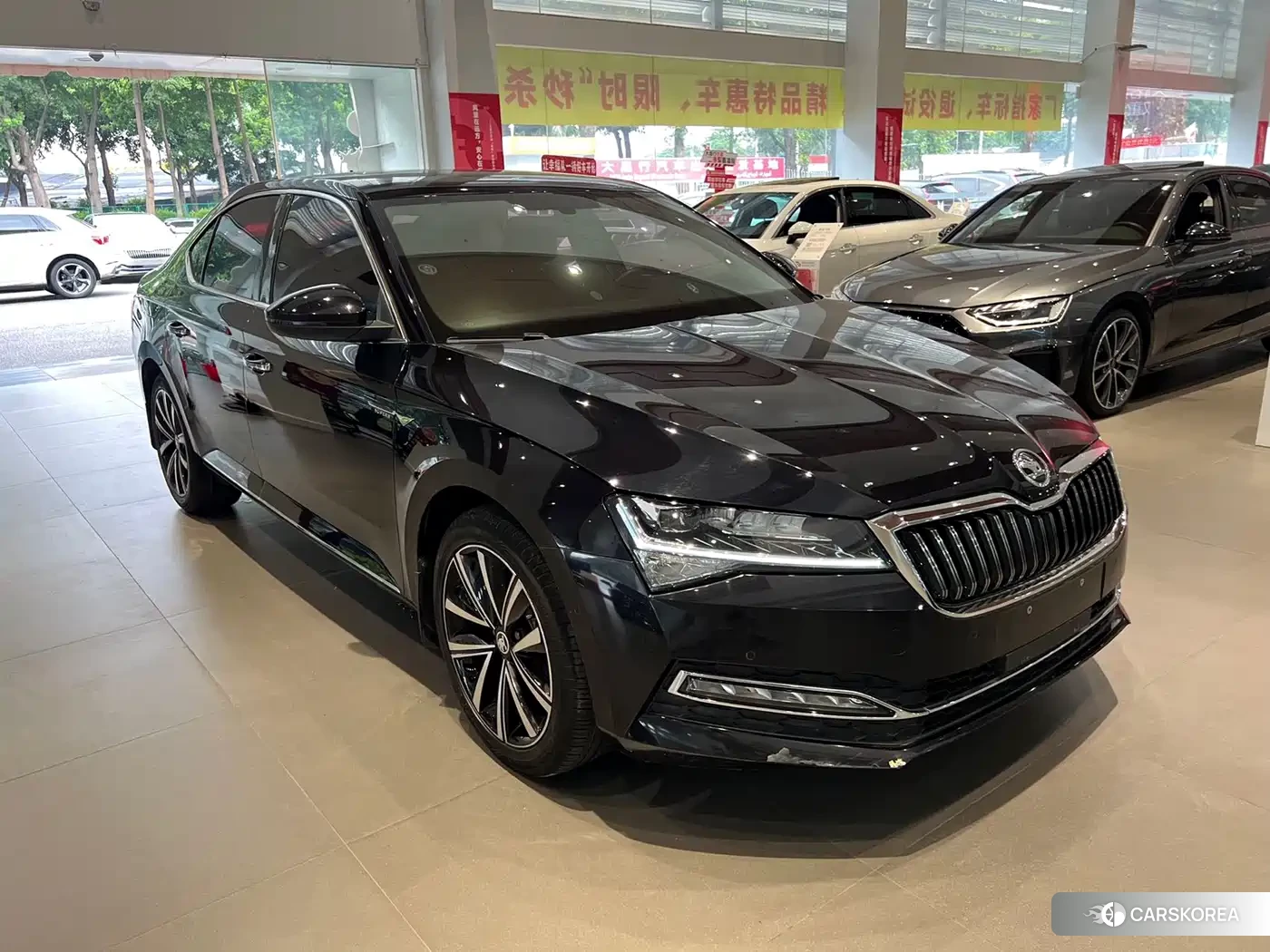 Skoda Speed pie id 4515546 из Китая 14