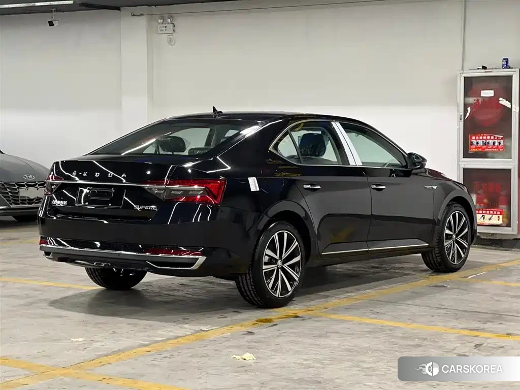 Skoda Speed pie id 4538732 из Китая 13