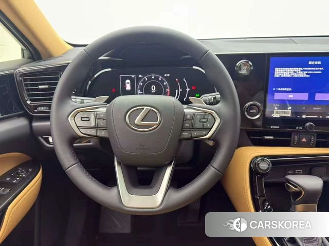 Lexus NX id 3920262 из Китая 12