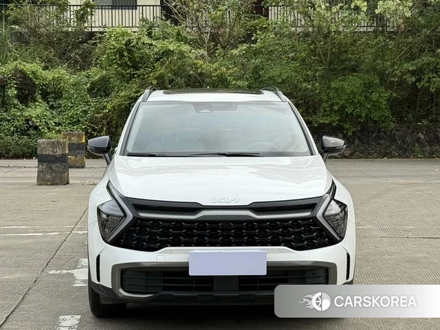 Kia Lion Platinum expands the world 2023 Белый из Китая, фото 4