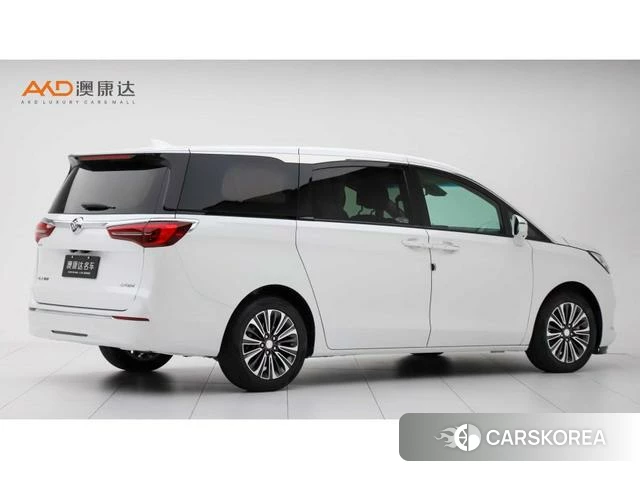 Buick GL8 2020 Зеленый из Китая, фото 5