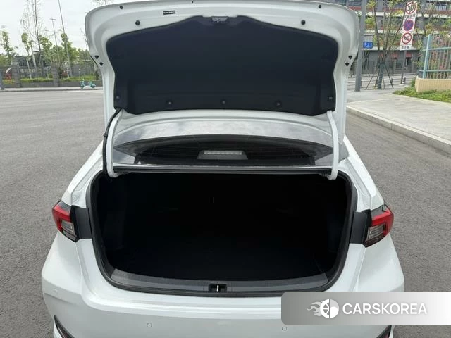Toyota Asian lion id 4262161 из Китая 19