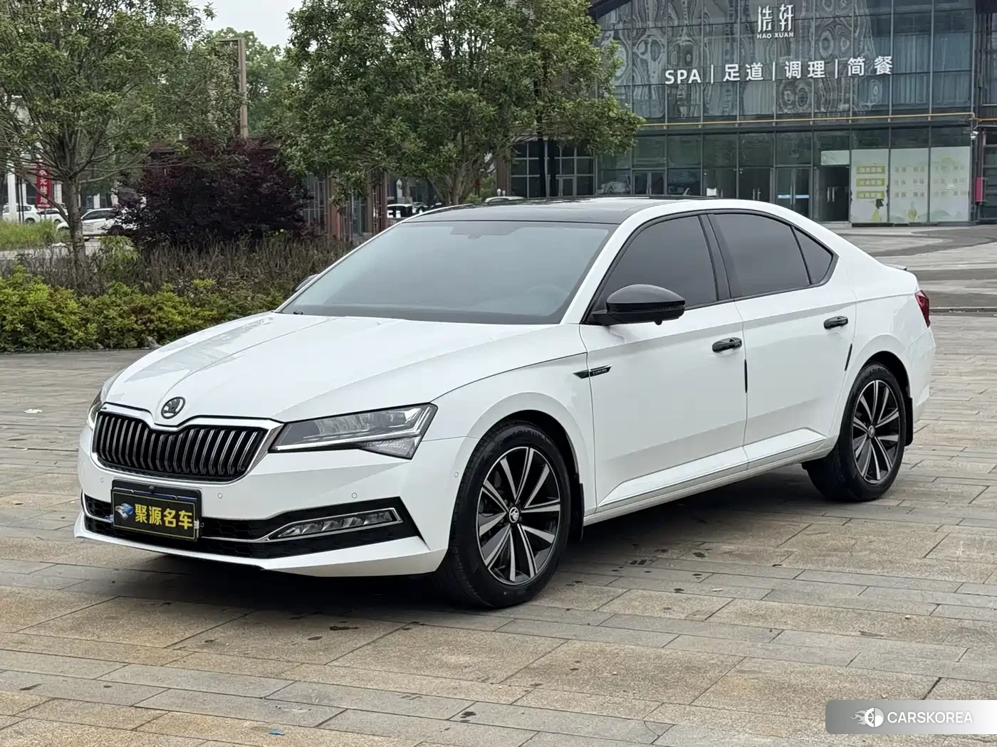 Skoda Speed pie 2024 Белый из Китая, фото 4