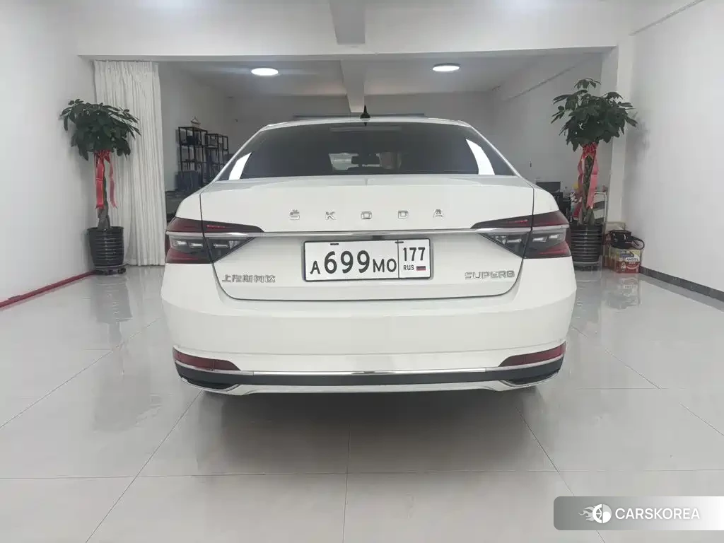Skoda Speed pie id 4553923 из Китая 14