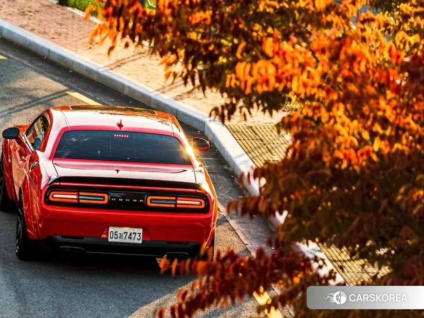 Dodge Challenger id 1637514 из Кореи 14