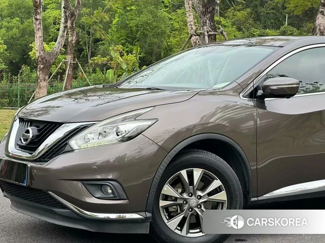 Nissan Loulan 2019 Желтый из Китая, фото 4