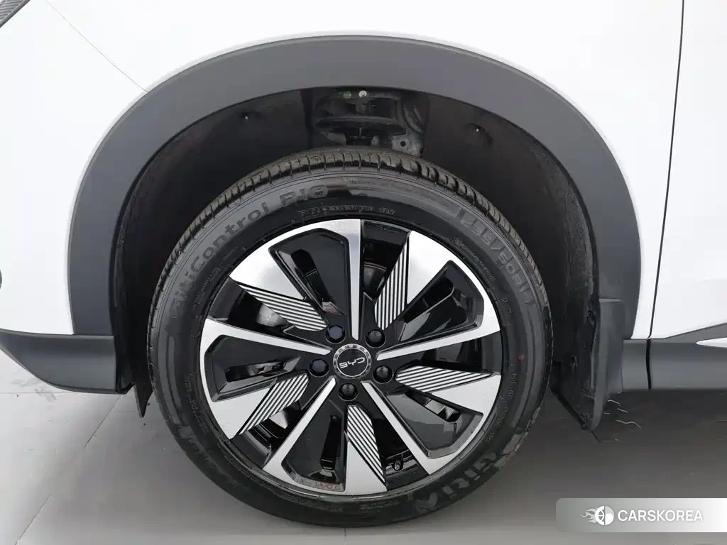 BYD Songjiang New Energy id 4576761 из Китая 18