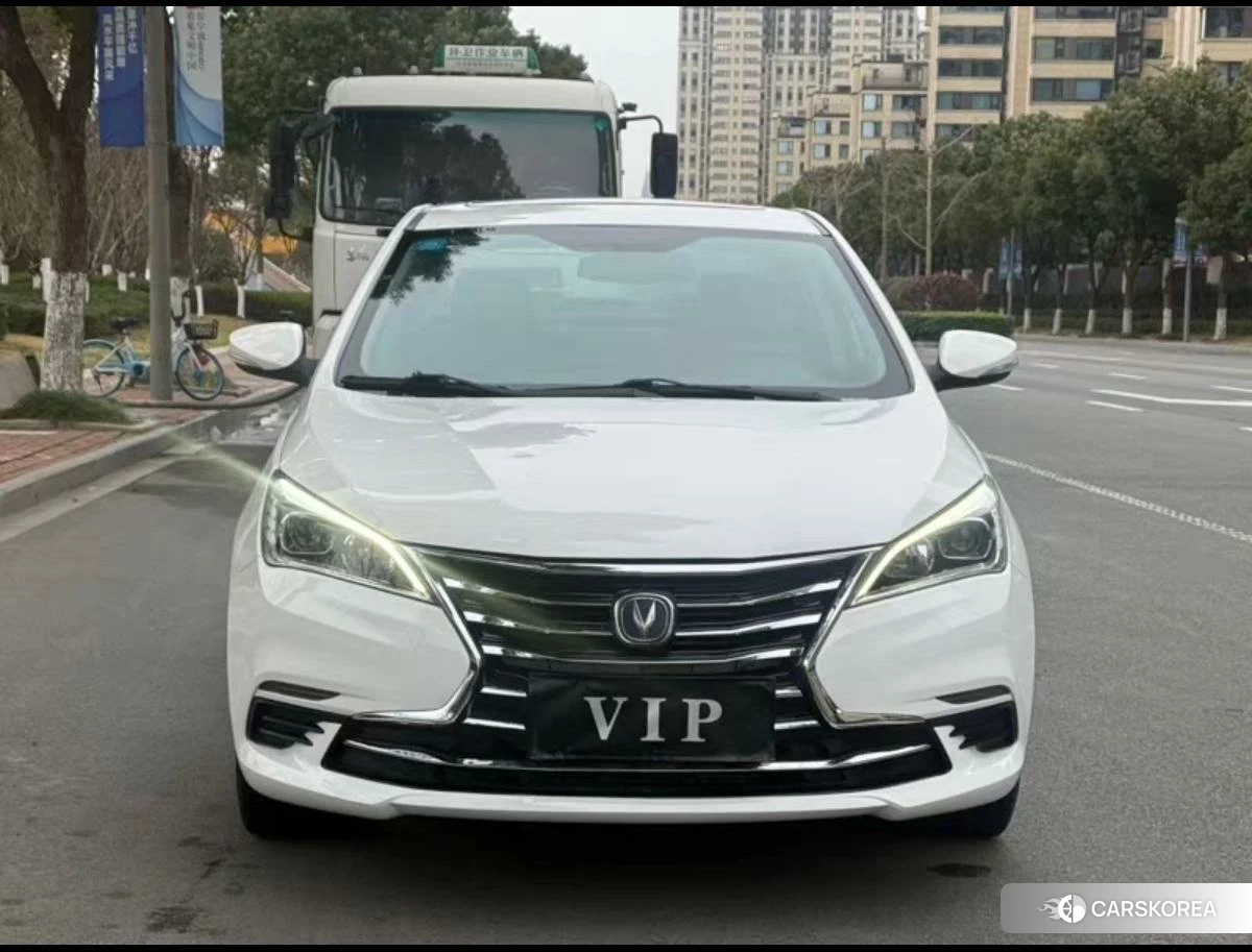 Chang'an Yidong DT 2021 Белый из Китая, фото 4
