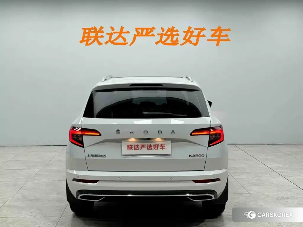 Skoda Karoq id 4674345 из Китая 20