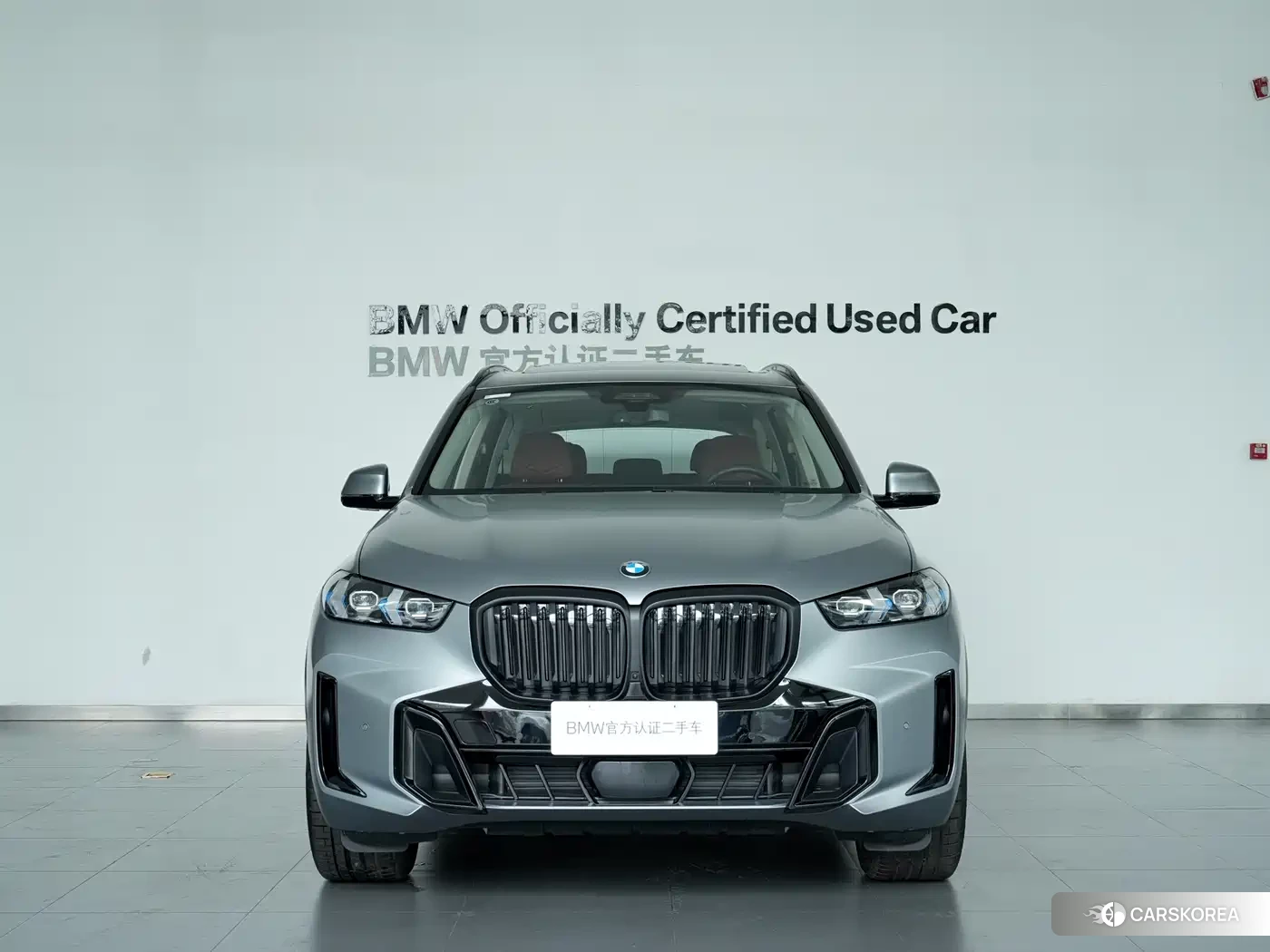 BMW X5 2025 Silver/gray из Китая, фото 5
