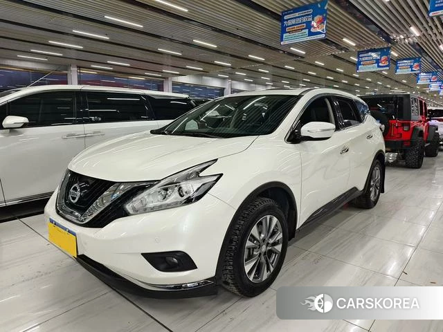 Nissan Loulan 2018 Белый из Китая, фото 4