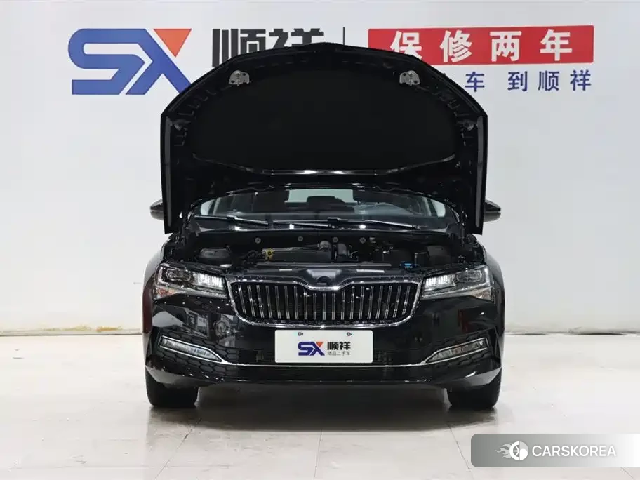 Skoda Speed pie id 4515532 из Китая 14