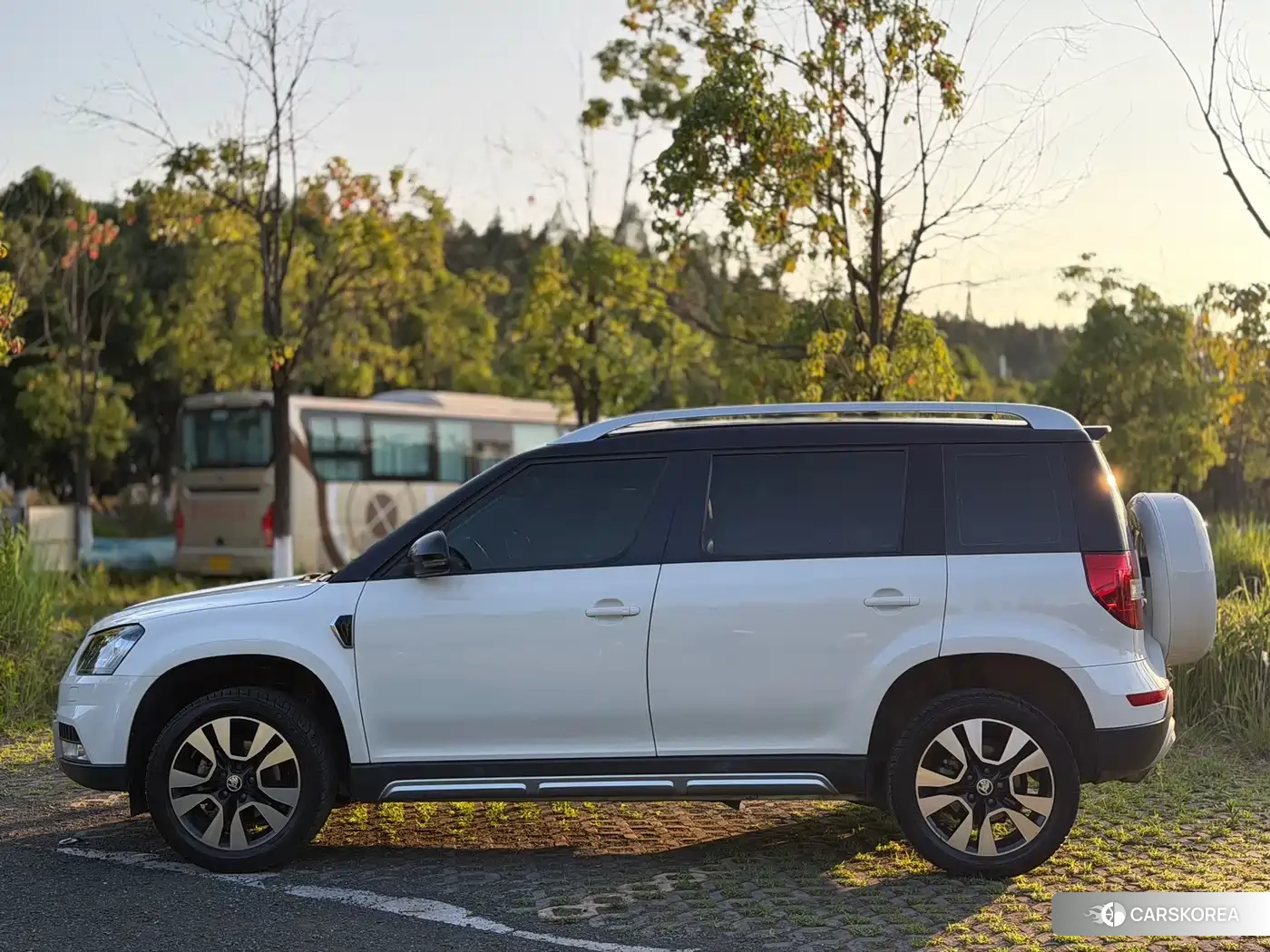 Skoda Yeti id 4622760 из Китая 12