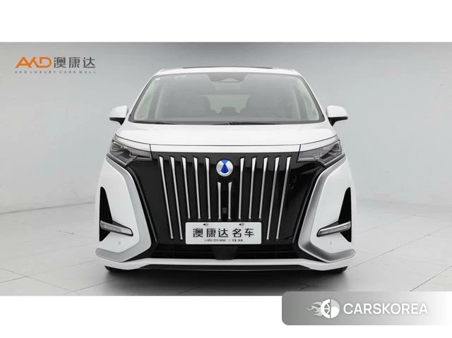 Denza D9 EV 2026 Белый из Китая, фото 5