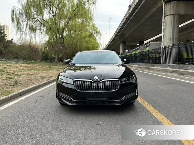 Skoda Speed pie id 3858043 из Китая 10