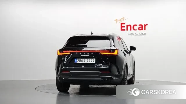 Lexus NX350h Second generation id 3365399 из Кореи 14
