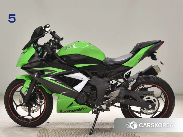 Kawasaki NINJA 250SL 2015 из Японии, фото 2
