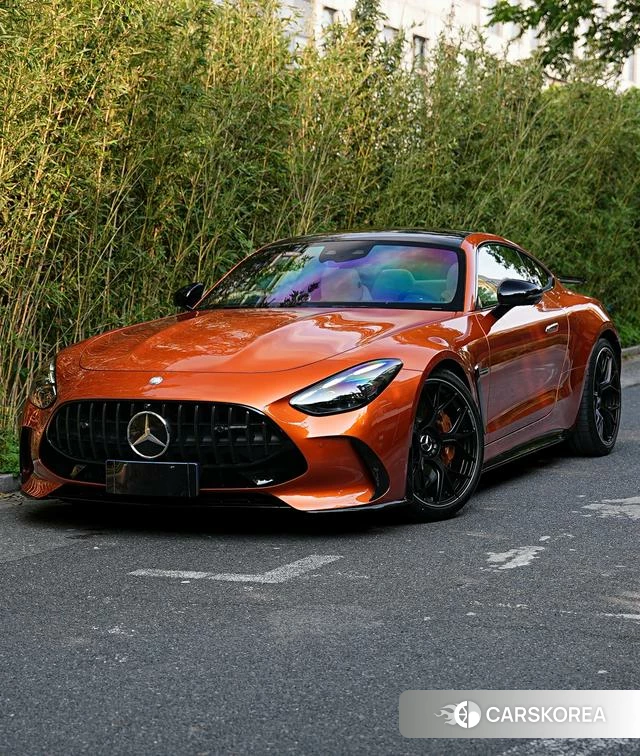 Mercedes-Benz AMG GT PHEV id 4314854 из Китая 21