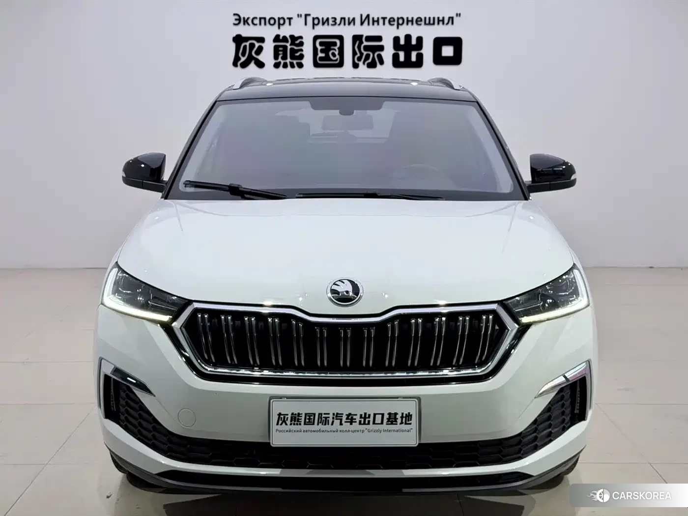Skoda Komick id 4576503 из Китая 9