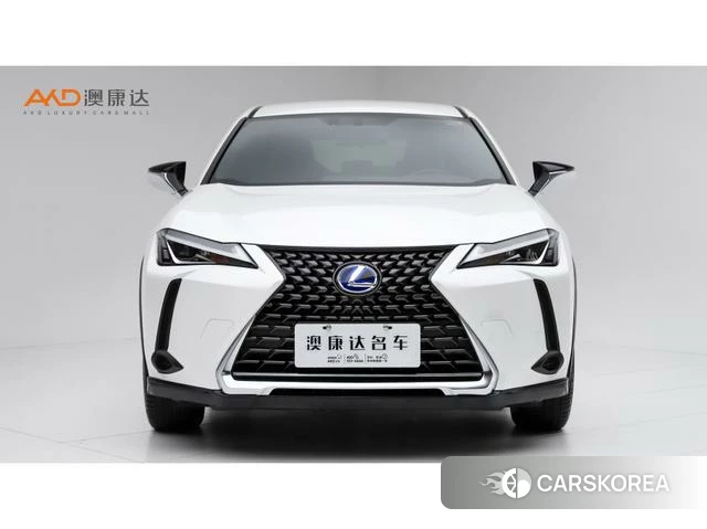 Lexus UX 2021 Белый из Китая, фото 4