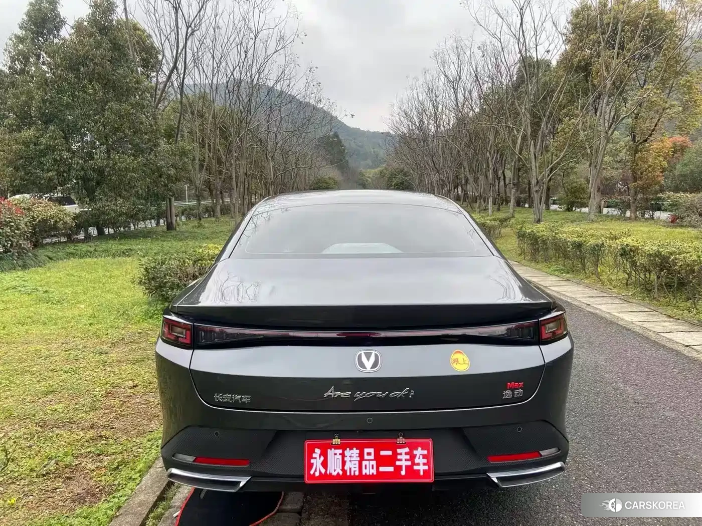 Chang'an Yidong id 4545820 из Китая 7
