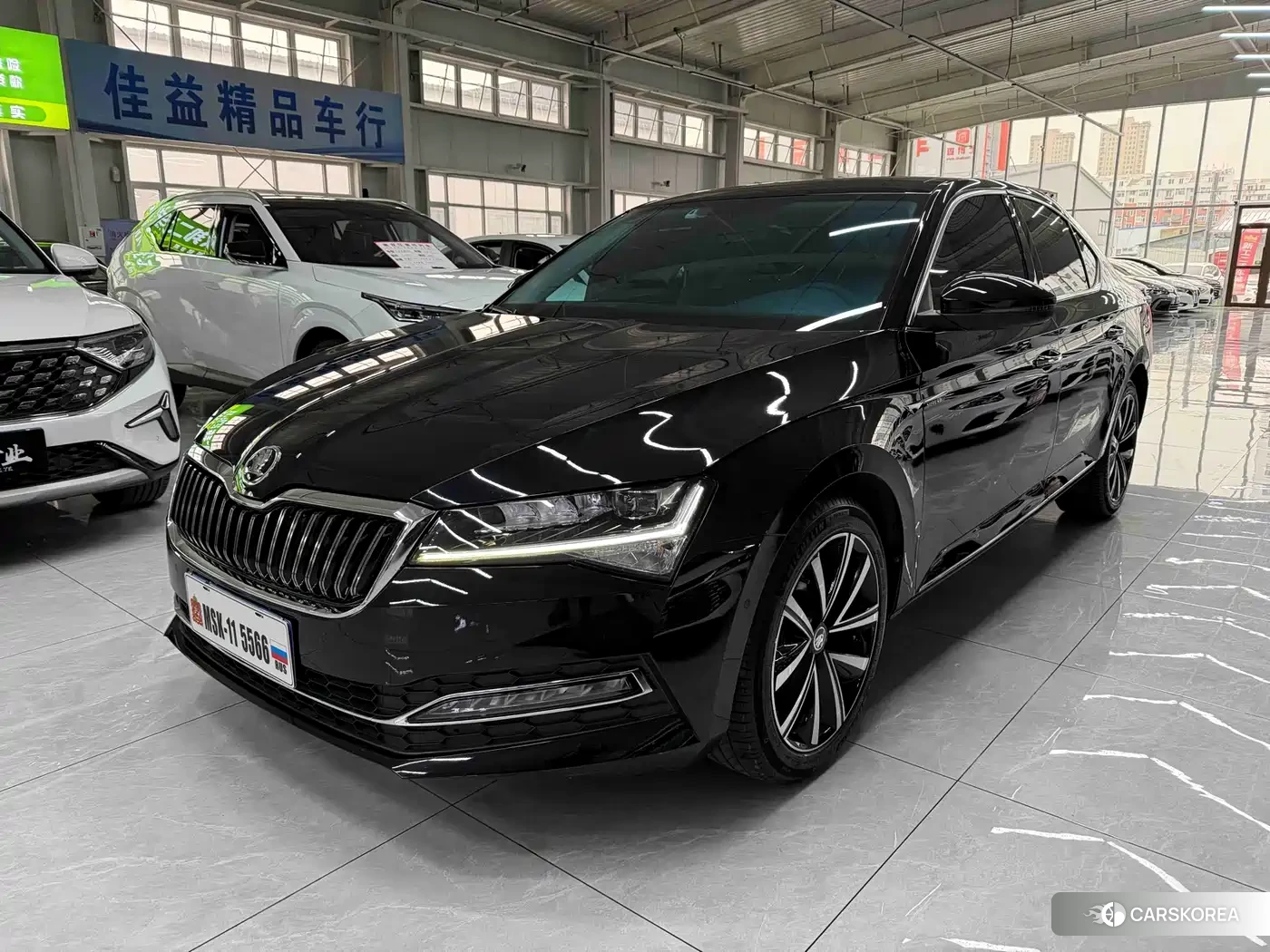 Skoda Speed pie id 4570368 из Китая 14