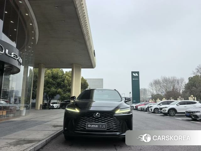 Lexus RX id 4221205 из Китая 11