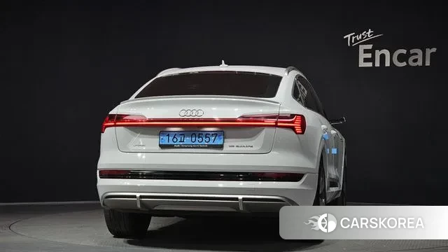 Audi e-Tron id 3597127 из Кореи 14