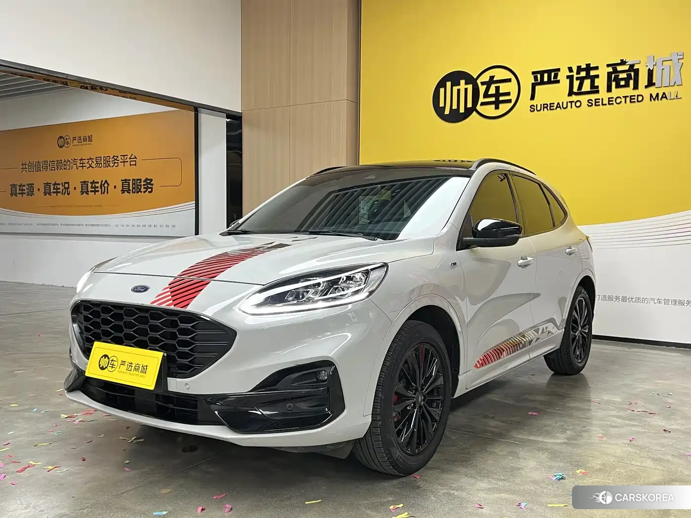 Ford Ruiji 2023 Белый из Китая, фото 5