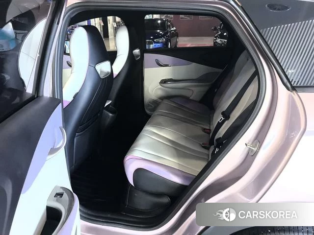 BYD dolphin id 4241378 из Китая 11